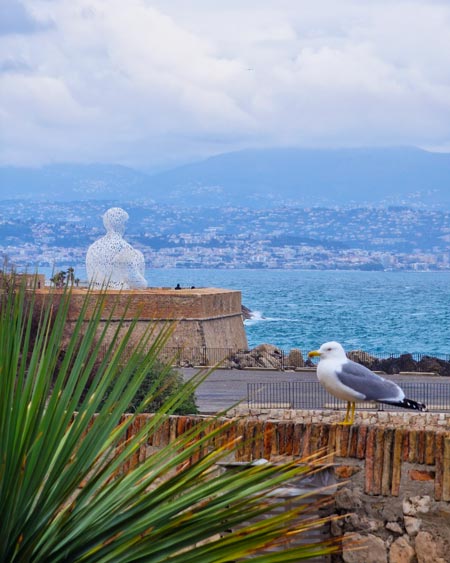 mimose_block_vpech-4